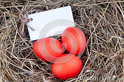 Red eggs with a note in the hay. Mock up, concept easter Stock Photo