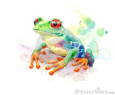 Red Eyed Green Tree Frog Watercolor Nature Illustration Hand Painted Cartoon Illustration