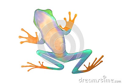 Red eyed tree frog from tropical rainforest of Costa Rica isolated on white. Agalychnis callidrias. 3d illustration Stock Photo