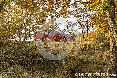 Red Fiat tipo in the wild Editorial Stock Photo