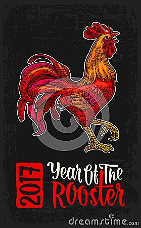 Red fiery rooster. Vintage black engraving illustration Vector Illustration