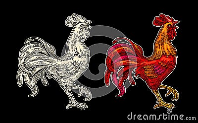 Red fiery rooster. Vintage black vector engraving illustration Vector Illustration