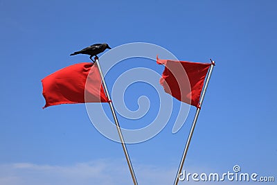 Red flags against a blue sky Stock Photo