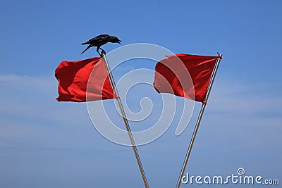Red flags against a blue sky Stock Photo