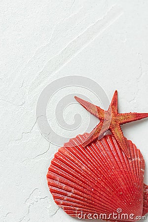 Red Flat Semi Circle Sea Shell Star Fish on White Stone Background. Minimalist Modern Styled Stock Photo for Social Media Blog Stock Photo