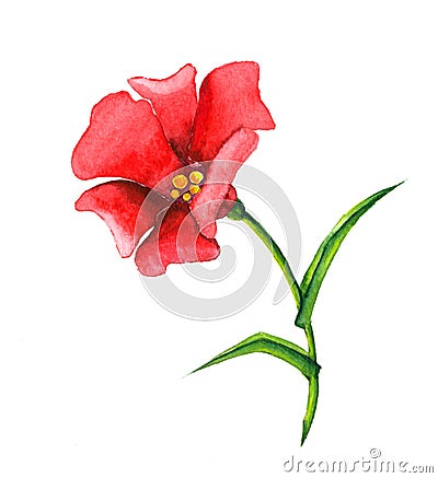 Red flower in bloom Cartoon Illustration