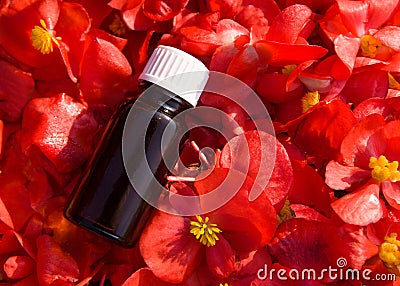 Red flower essential oil in a brown bottle. BACH therapy Stock Photo