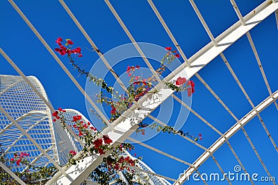 Red flowers and architectural detail of L`Umbracle,Valencia Editorial Stock Photo