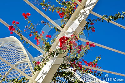 Red flowers and architectural detail of L`Umbracle Editorial Stock Photo