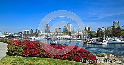 Long Beach California cityscape skyline Editorial Stock Photo