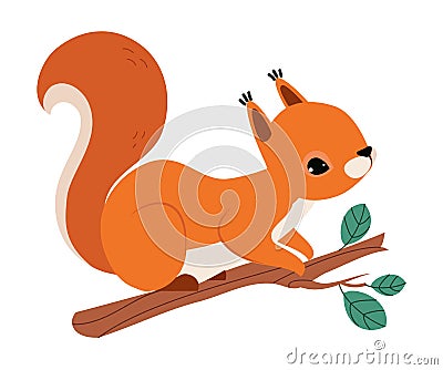 Red Fluffy Squirrel with Bushy Tail Sitting on Tree Branch Vector Illustration Vector Illustration