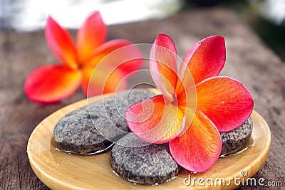 Red frangipani flower with stones Stock Photo