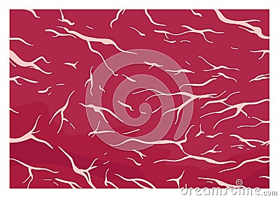 Red fresh marbled wagyu slice for cooking and aged steak pattern, macro premium cow meat background with structure and Vector Illustration