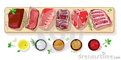 Red fresh raw steaks, fillets and spice rubs, condiments for meat. Vector set. Vector Illustration