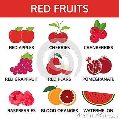 Red fruits collection, food vector illustration Vector Illustration