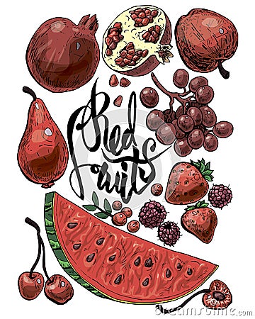 Red Fruits 2 Vector Illustration