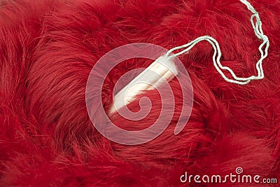 Red fur and menstrual tampon. Woman critical days, gynecological menstruation cycle. Menstruation sanitary feminine hygiene concep Stock Photo