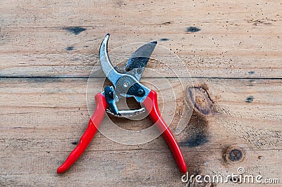 Red garden pruner Stock Photo