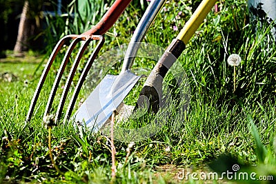 A red gardening fork and two gardening spades in grass Stock Photo