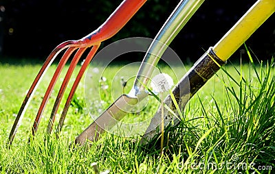 A red gardening fork and two gardening spades in grass Stock Photo