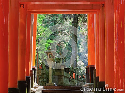 Red gates tunnel in Kyoto Stock Photo