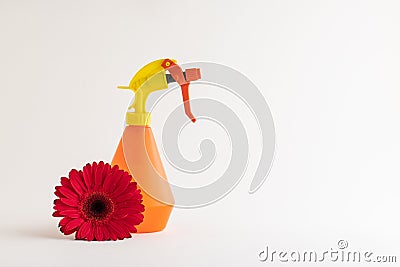 Red gebera flower with different objects on white Stock Photo