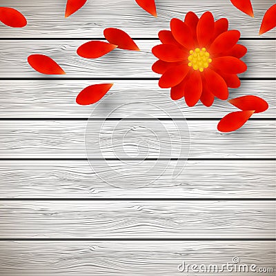 Red gerbera on wood Vector Illustration