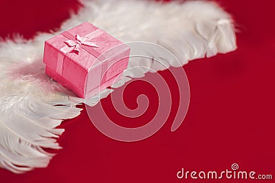 Red gift box on white angel feather wings Stock Photo