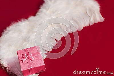 Red gift box on white angel feather wings Stock Photo