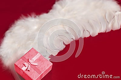 Red gift box on white angel feather wings Stock Photo