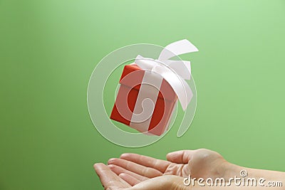 Red gift box with a white bow on a green background Stock Photo