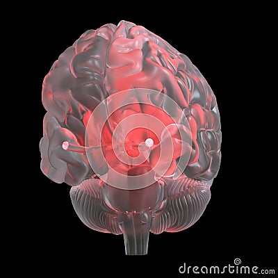 A red glowing glass brain Cartoon Illustration