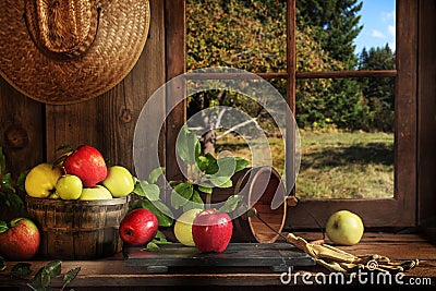 Red and Gold Apples Old Cabin with View Stock Photo