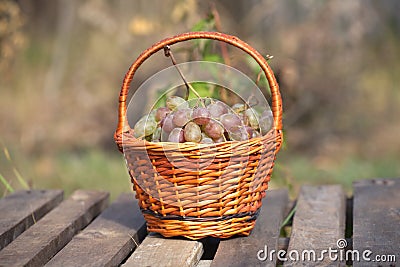 Red grape in brown wicker basket on wooden table Stock Photo
