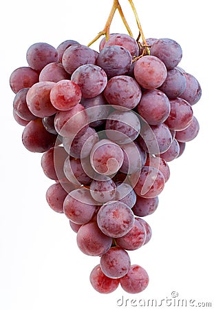 Red grape cluster. Stock Photo