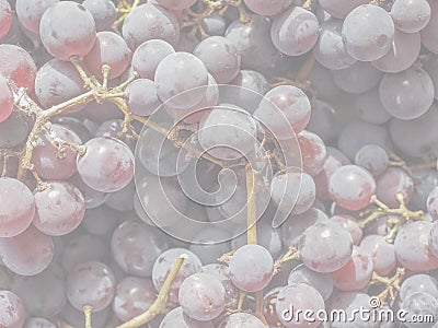 Red grape fruits, soft faded tone background Stock Photo