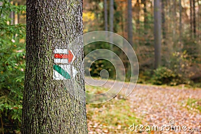 Red and greedn trail marking on tree in Czech Republic for tourist, hiker. Stock Photo