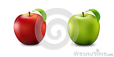 Red and Green Apple Set. Realistic With Leaf. Detailed 3d Illustration Isolated On White. Vector Illustration. Vector Illustration