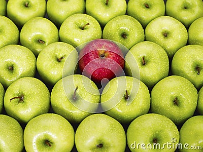 Red and green apples Stock Photo