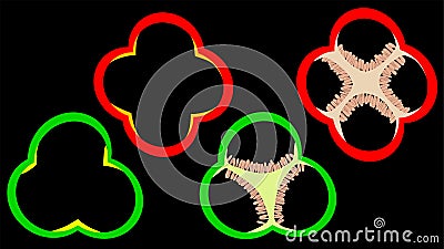 Red and Green bell pepper slices with and without seed cores and seeds. created in layers for easy isolation and modification of Stock Photo