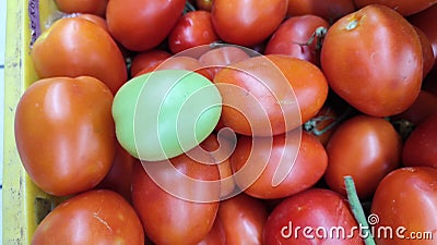 red and green fresh tomatoes vegetables food products Stock Photo