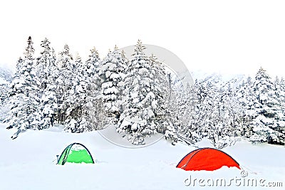 Red and green tents, natural snow hill in Japan Yatsugatake mountains Stock Photo