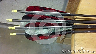 Red and Grey Fletchings On Arrows Stock Photo