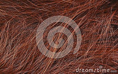 Red Hair Texture Stock Photo