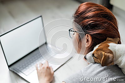 Red-haired woman in isolation lying on the floor with a dog. The girl maintains a social distance and works from home on Stock Photo