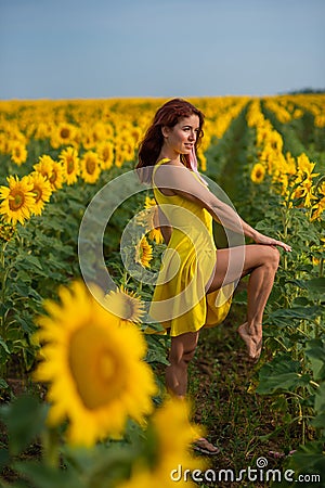 A red-haired woman in a yellow dress is standing in a field of sunflowers. Beautiful girl in a skirt sun enjoys a Stock Photo