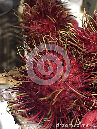 The Red and hairy Rambutan Fruit Stock Photo