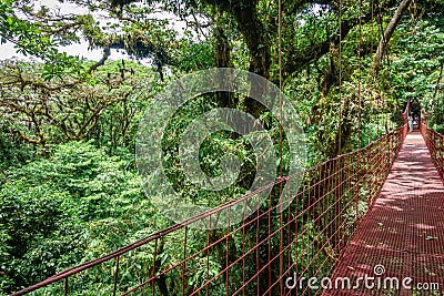Red hanging bridge in Rainforest of Monteverde Editorial Stock Photo