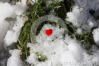 Red heart on a background of snow and green grass. Stock Photo