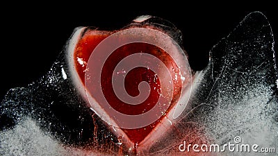 Red heart, frozen in ice, melting, bleeding. 02 Stock Photo